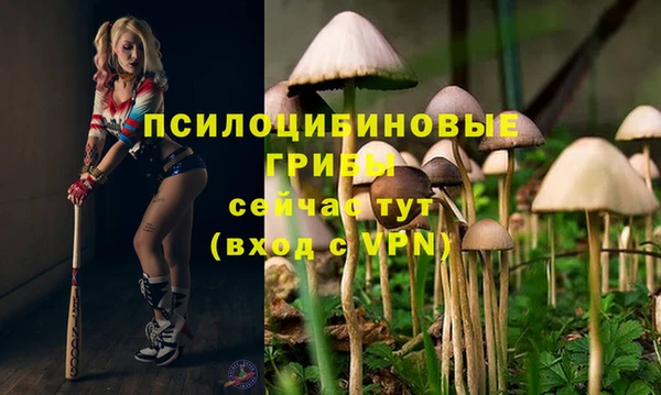 гидра Абинск